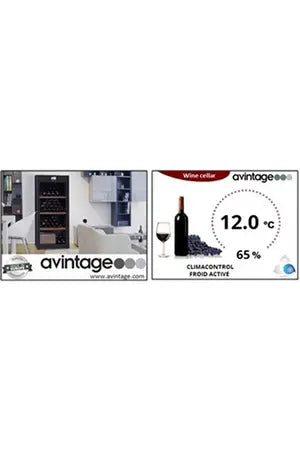 Cave multi-températures Avintage DVA305G Avintage