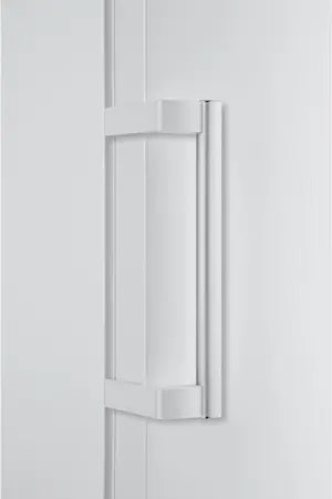 Congélateur armoire Haier H2F-320WF Haier